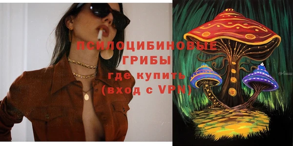 ALPHA PVP Горняк